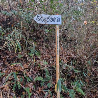 らくようの小路の看板脇を入ります〜