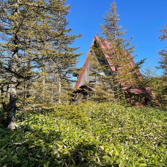 登山口に戻って来ました〜