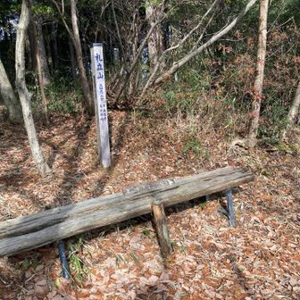 休憩されていた方と新池展望台まで
ご一緒させていただく
