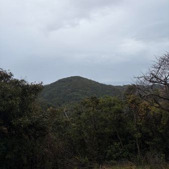 金比羅山かな？