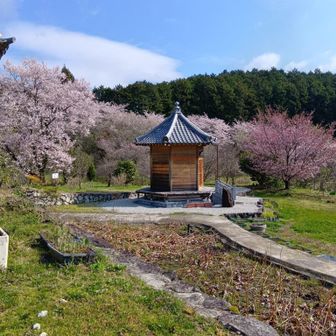 素晴らしい天国みたいなところでした