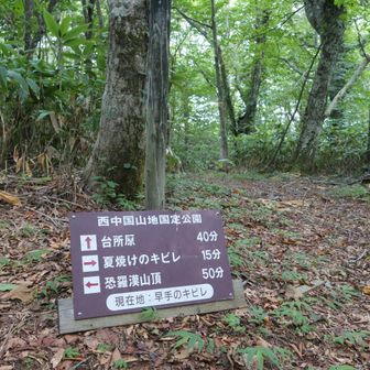 早手のキビレ
台所原へ下ります