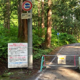 いろいろ厄介なルート352
遠方の人はちゃんと調べてから行ってね