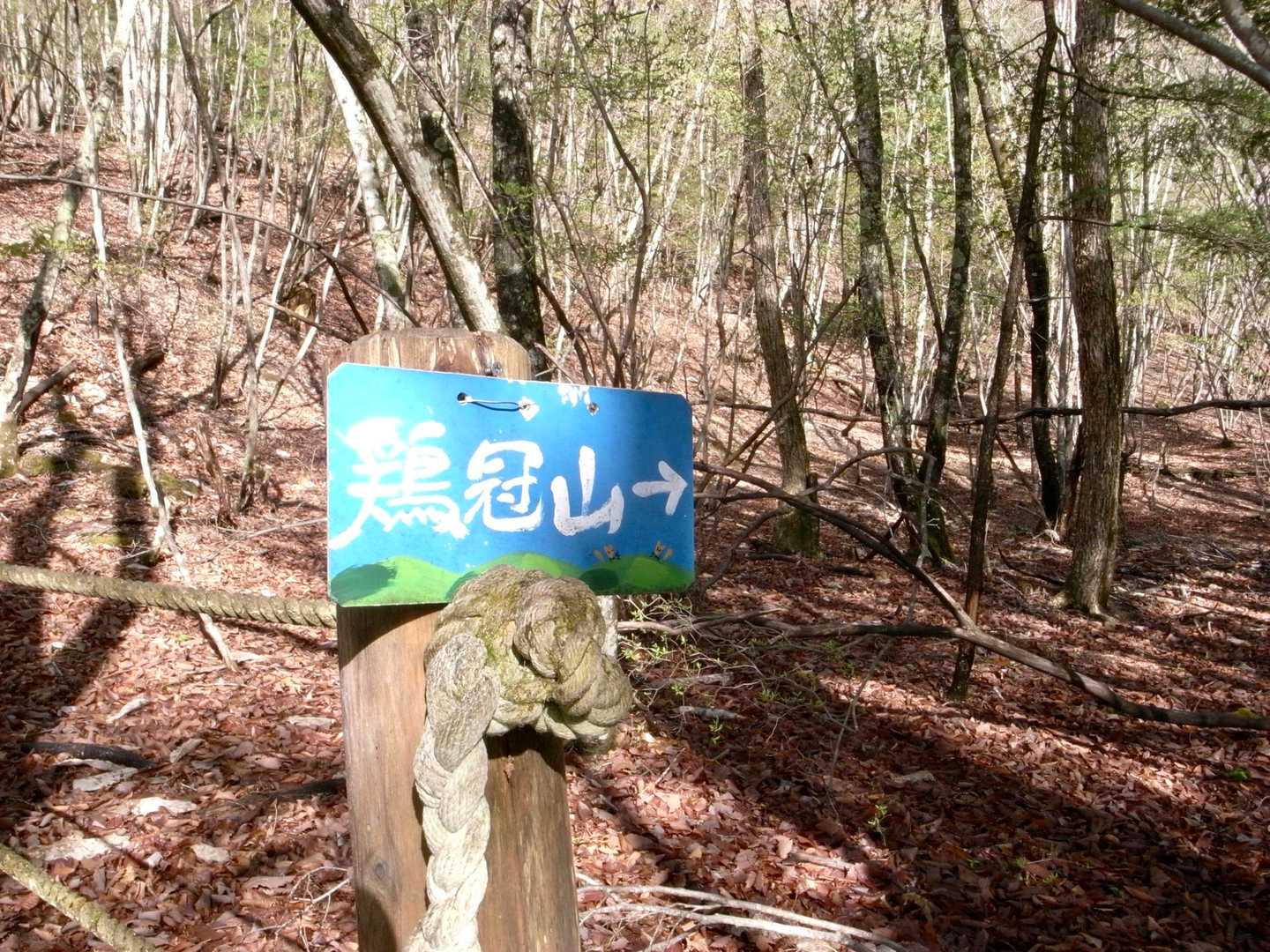 鶏冠山⛰️はまだかな〜？