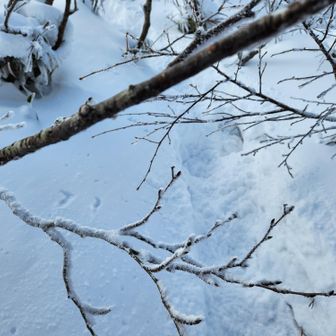 稜線出てから本当に雪が深くなっています。
先行の方はすでに山頂アタックされ、降りて来られました。
まさにラッセルしてこのような道を作ってくれたのです。本当にありがとうございました。

いつか私も「ラッセル代わりましょうか」と言えるようになりたい(私の脚力では遅くて、今日のお二人にいつまでたっても代わってあげられそうにありませんが)