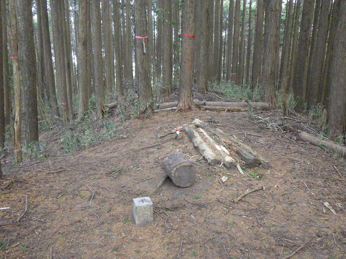 鳥見山登山口-鳥見山 往復コースの写真