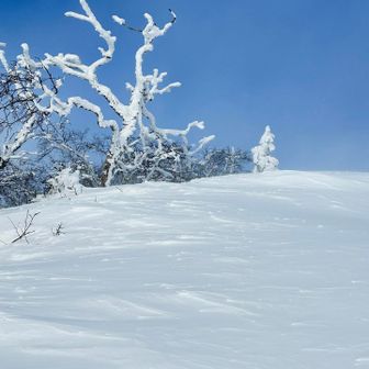 良いねぇ🙆
冬だねぇ☃️