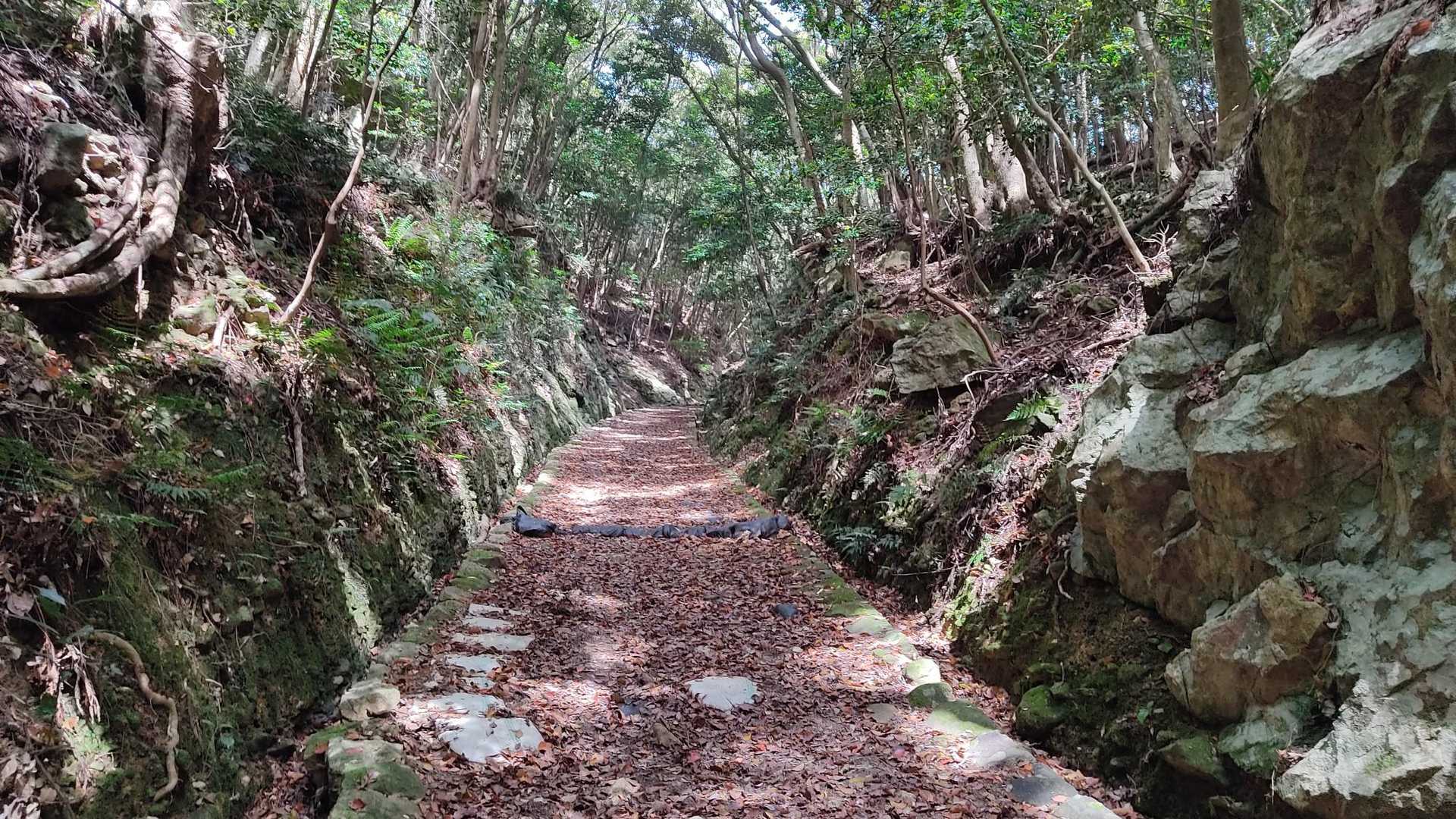 城山登山口-城山 往復コースの写真
