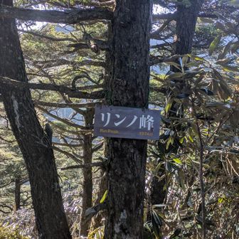 リンノ峰
グレーピーク