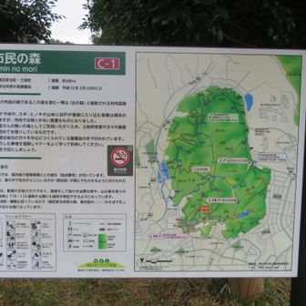 遅いスタートになってしまいました。