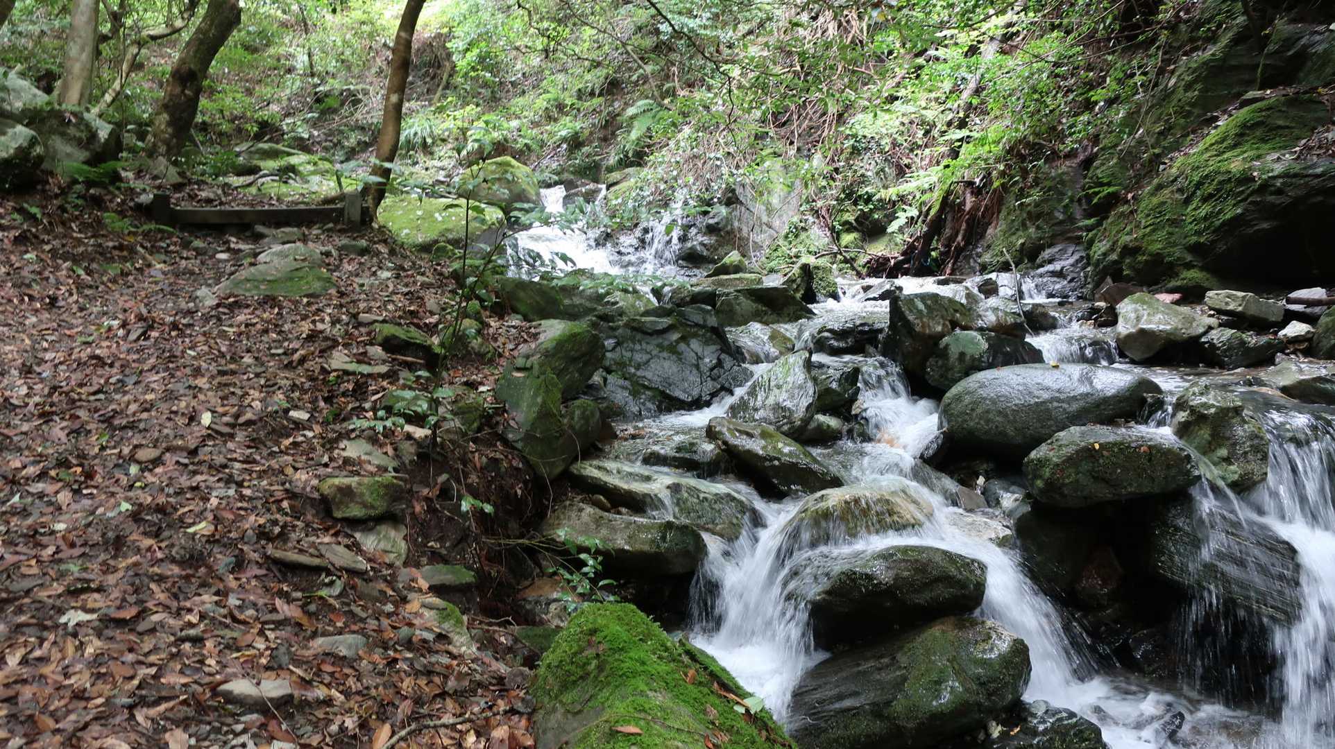 瑞梅寺登山口-井原山 往復コースの写真