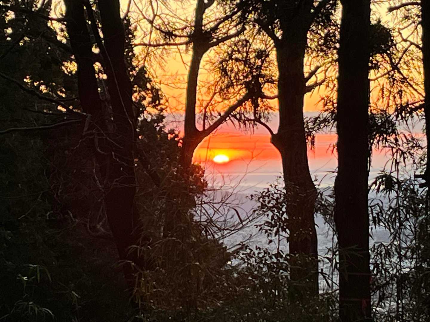 日の出‪🔆‬ 初日の出ではないけど、わたし的に今年見る初めての日の出！