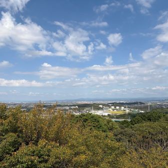 展望台より