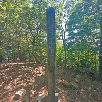呉娑々宇山ピーク▲
山頂には何もないけど、母校の校歌で歌ったお山なので思い入れが違います😃
金曜に引き続き、これで15回目登頂となりました㊗️