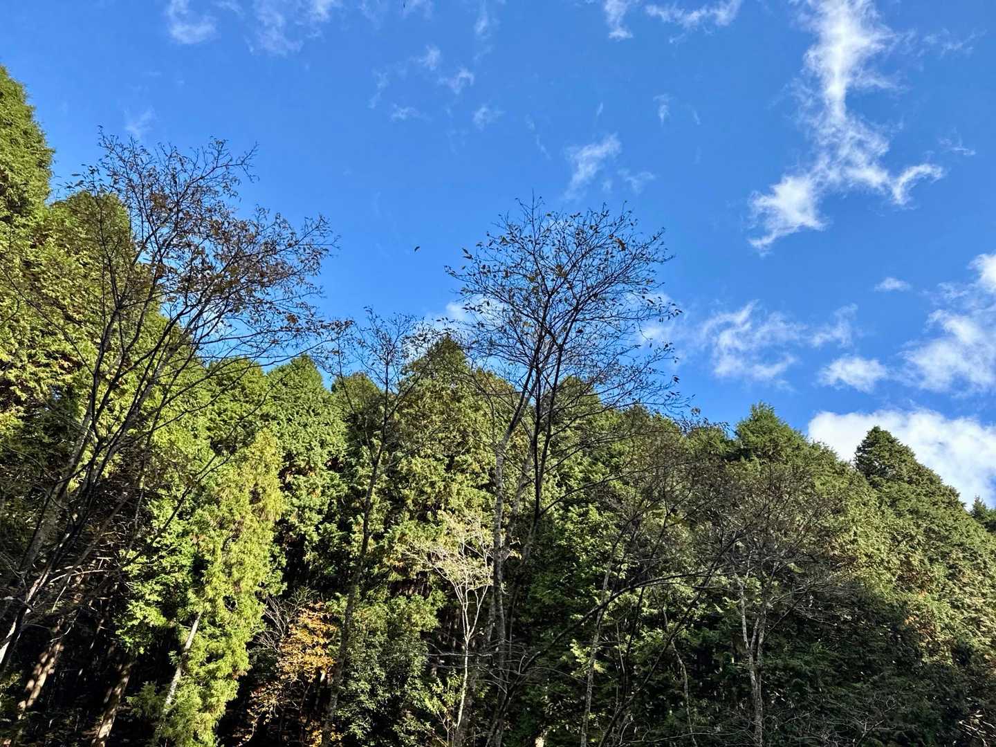 下山中曇ってて爆風だったのに、今めっちゃ青空🤣