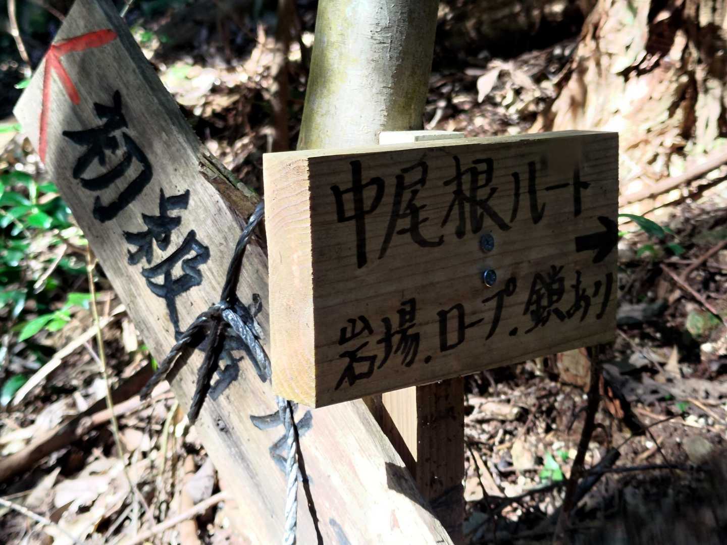 中尾根ルート行ってみます🎵