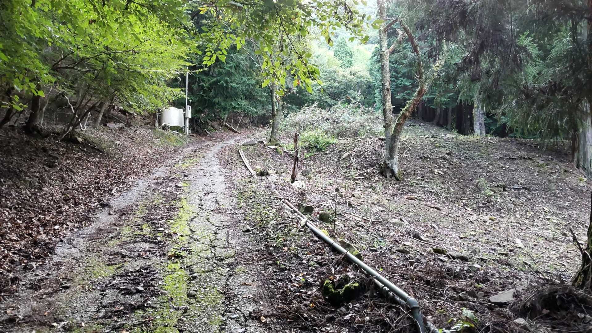 舗装路は続きます…
なんなら結構急(；´Д｀)⤴