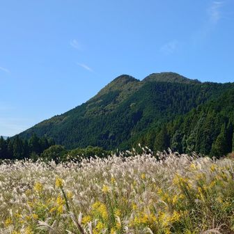 額田岳と大保山。秋らしい！