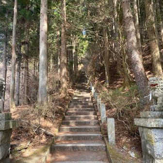 おじゃまします