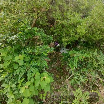 ここが鍋山への取り付き👣
写真でも少し写ってますが、潜った瞬間、不法投棄が🤔　すごいことになってた😅　数年前にレポ見たときはシルバニアのおもちゃっぽいのをみた気がするけど、今はただのゴミ化してましたね💦
