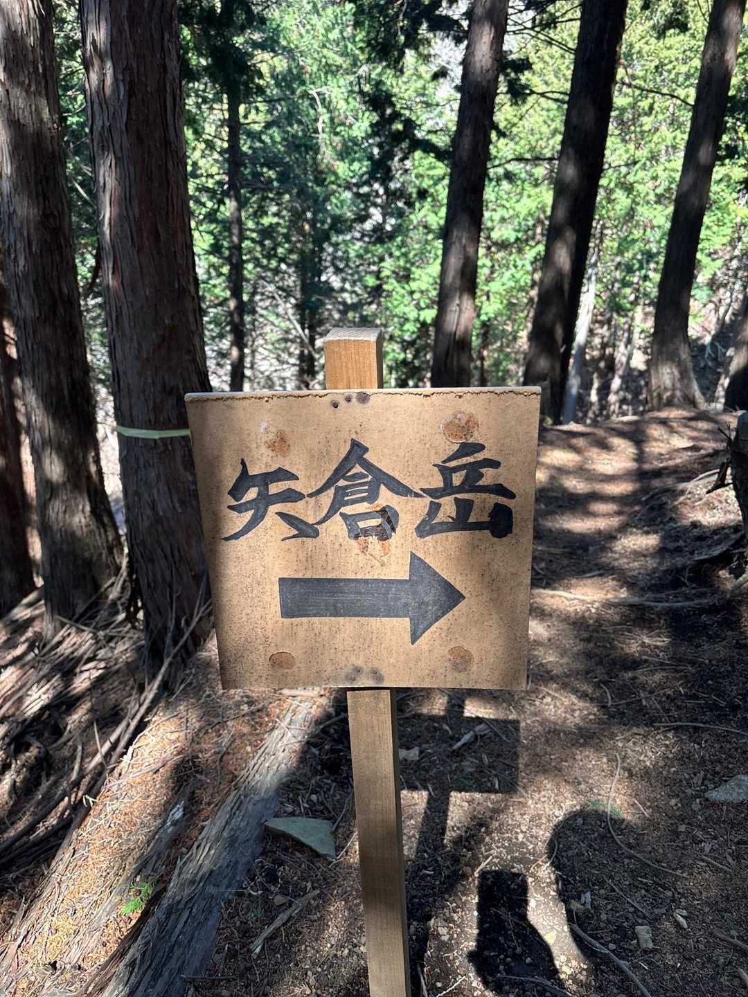 まっすぐは崩落
迂回路は右に登る👉