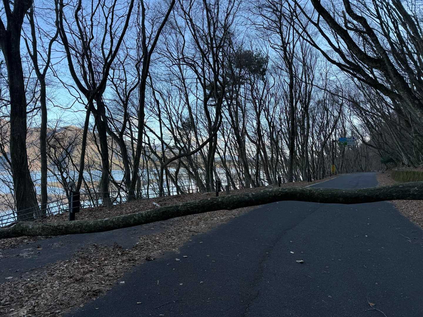 しばらく車道をひたすら歩く🚶‍♀️