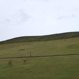 天の原　ふりさけ見れば　春日なる　三笠の山に　出し月かも