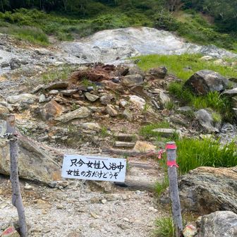 ふ、ふ、ふ