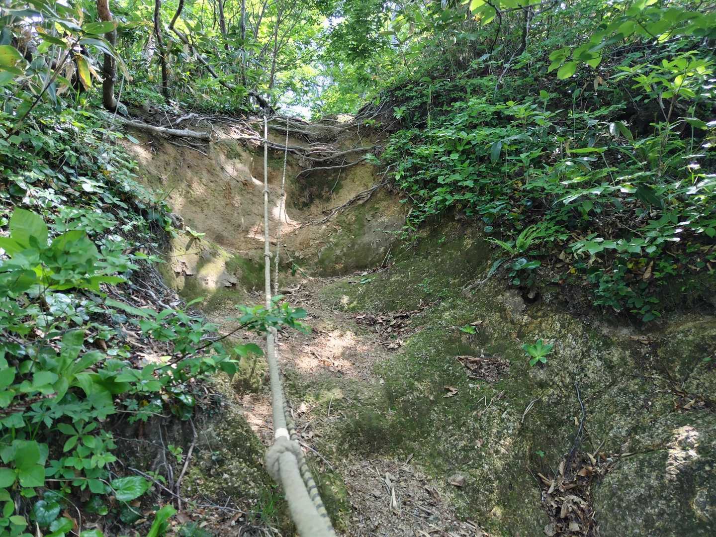 なかなかハードな登りもあります💦
