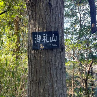 標高50m。五零…。ここの山名も語呂合わせみたい。