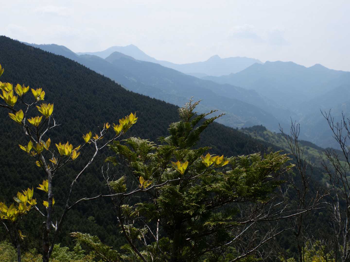 遠くに笹ヶ峰方面