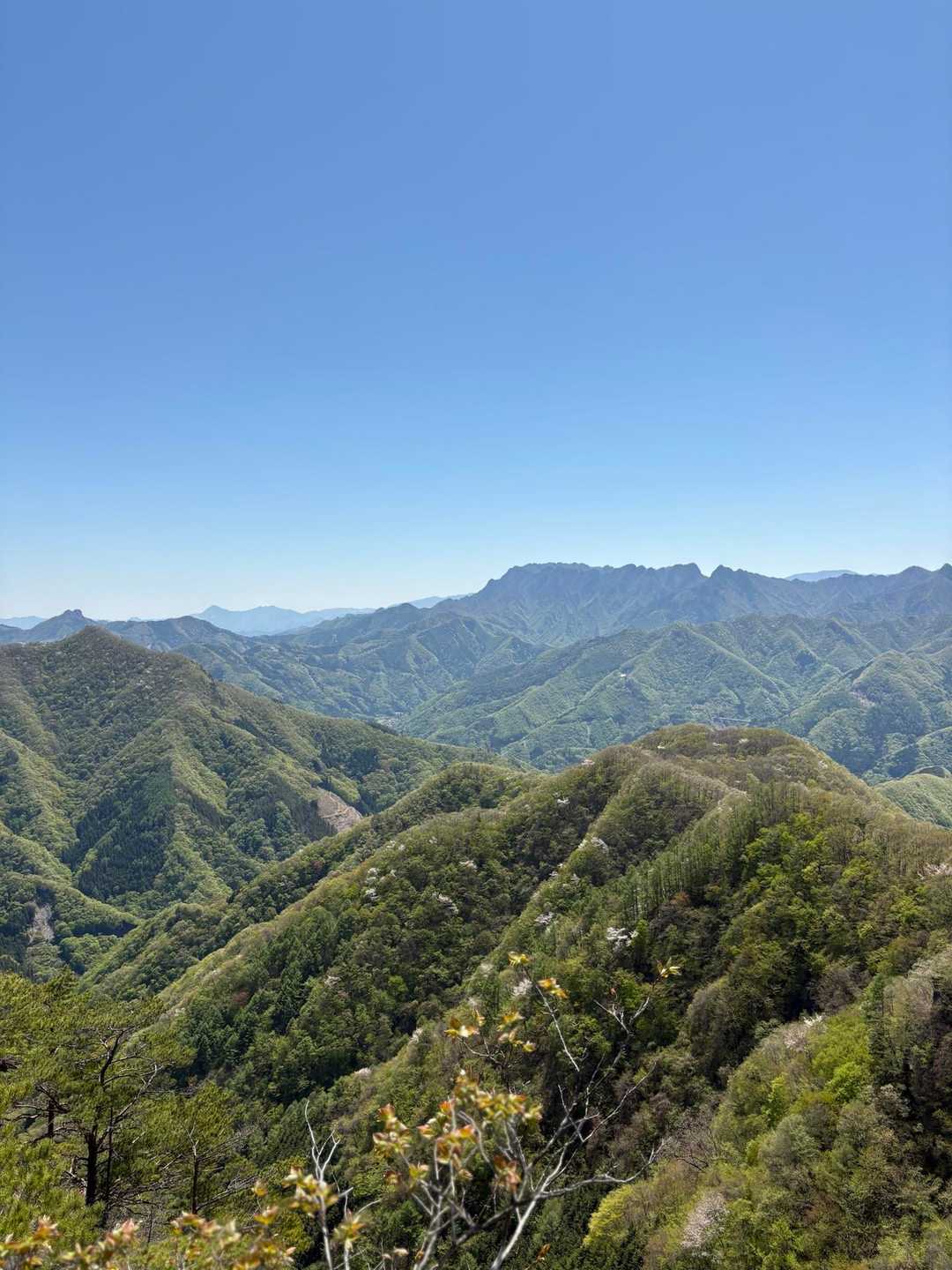 笠丸山登山道入口-地蔵峠-笠丸山-笠丸山登山口 周回コースの写真