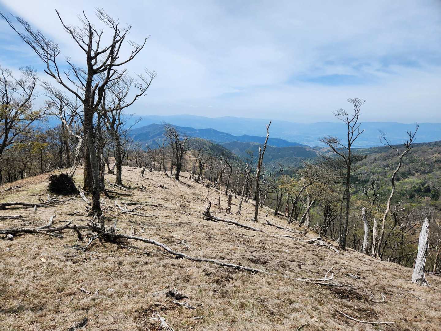 山頂を経由して、周回します。
開放的な場所ですが、焼け野原の用でした😅