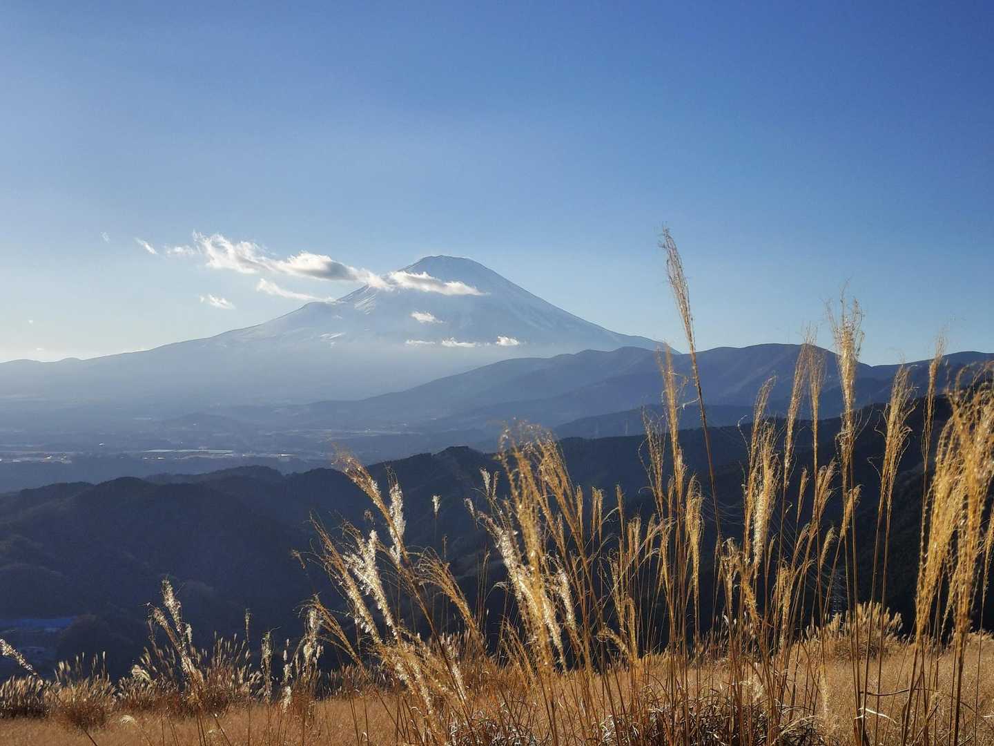 富士山🗻、おくつろぎにございます...。