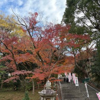 四條畷神社から登ります。
紅葉まだ少し綺麗🍁