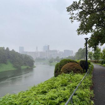 霧🌫️の桜田濠と三宅坂