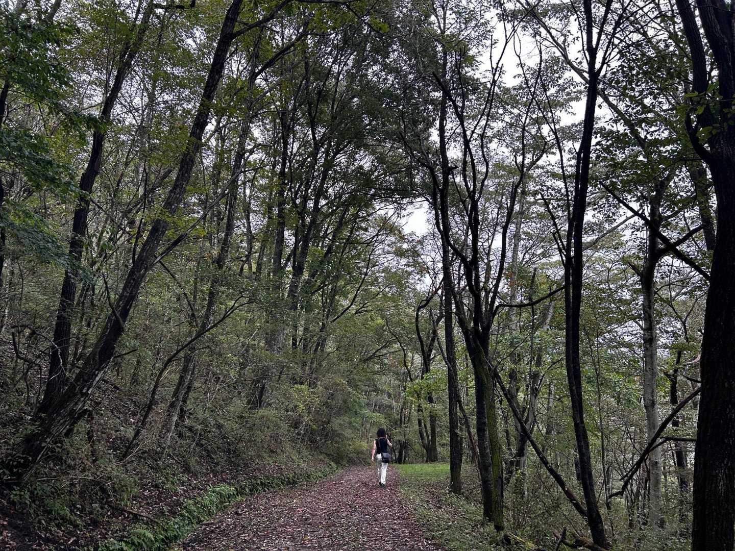 戻ります🚶‍♀️