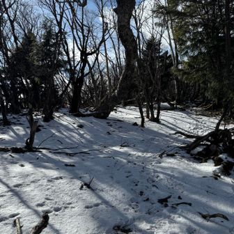 稜線の一部は雪❄️ありました、でもツボ足でいけるよ。