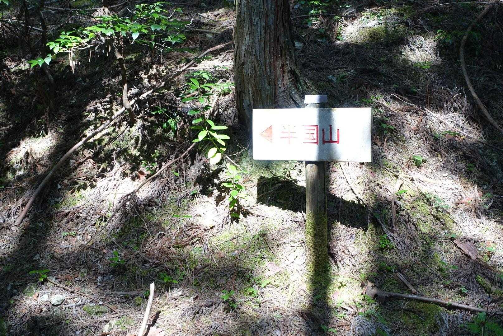看板もピンテもあるので迷わないと思ったら意外と違うルート歩いてることも！
