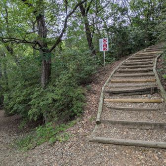 右から来た道