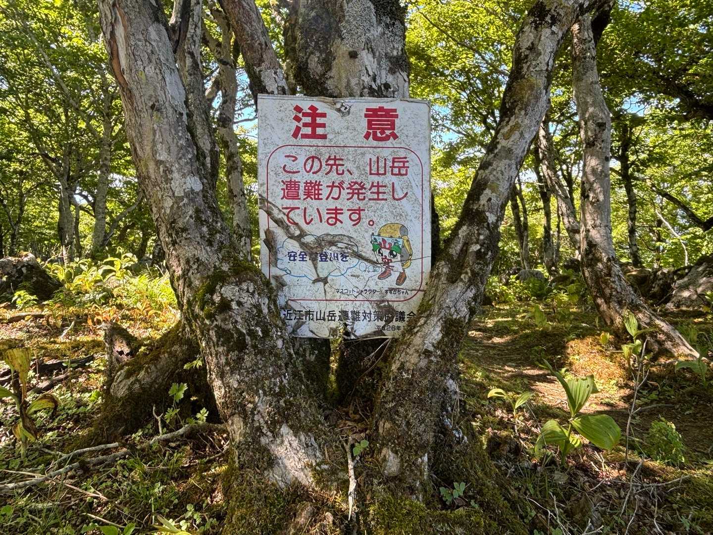 すずかちゃん
なんて変わった容姿のキャラクターだ
