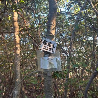 経尾山山頂⛰