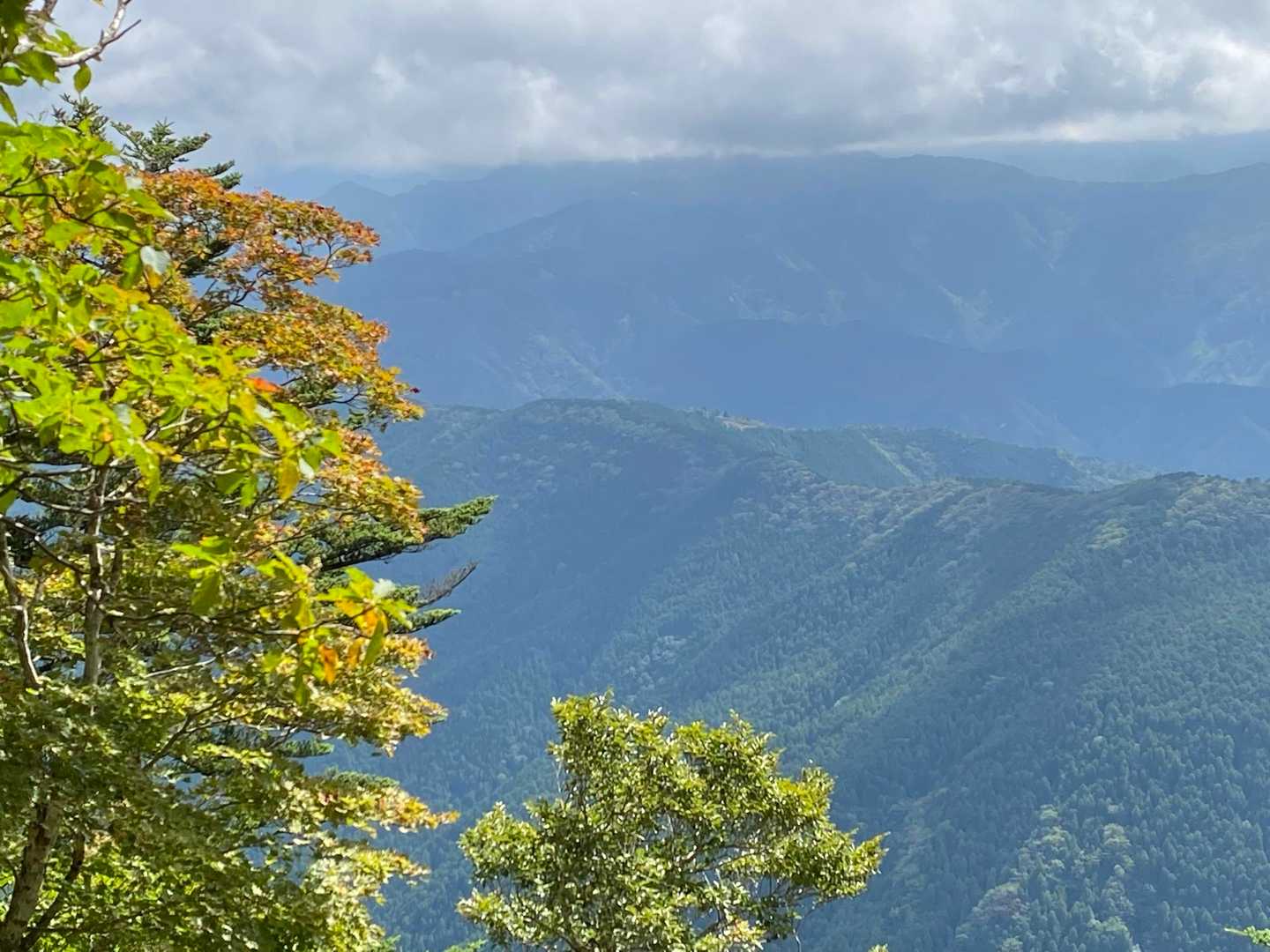 大普賢岳-明王ヶ岳-伯母谷覗 往復コースの写真