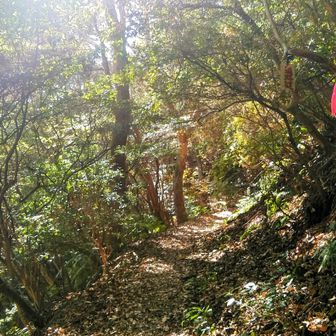 遍路道は良い道だ