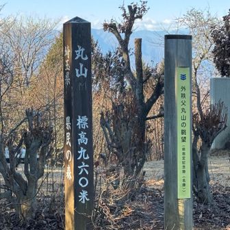 山頂標識
展望台で満足しちゃって
危うく撮り忘れるところだった😅