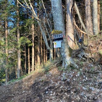 おはようございます

白骨温泉の無料駐車場の公共トイレに寄ってから、登山口に到着
駐車場の埋まり具合をチェックしつつ通行止めのゲートがあるところまで行ってからUターンして、登山口から少し下りた途中に路駐できた👍🏻