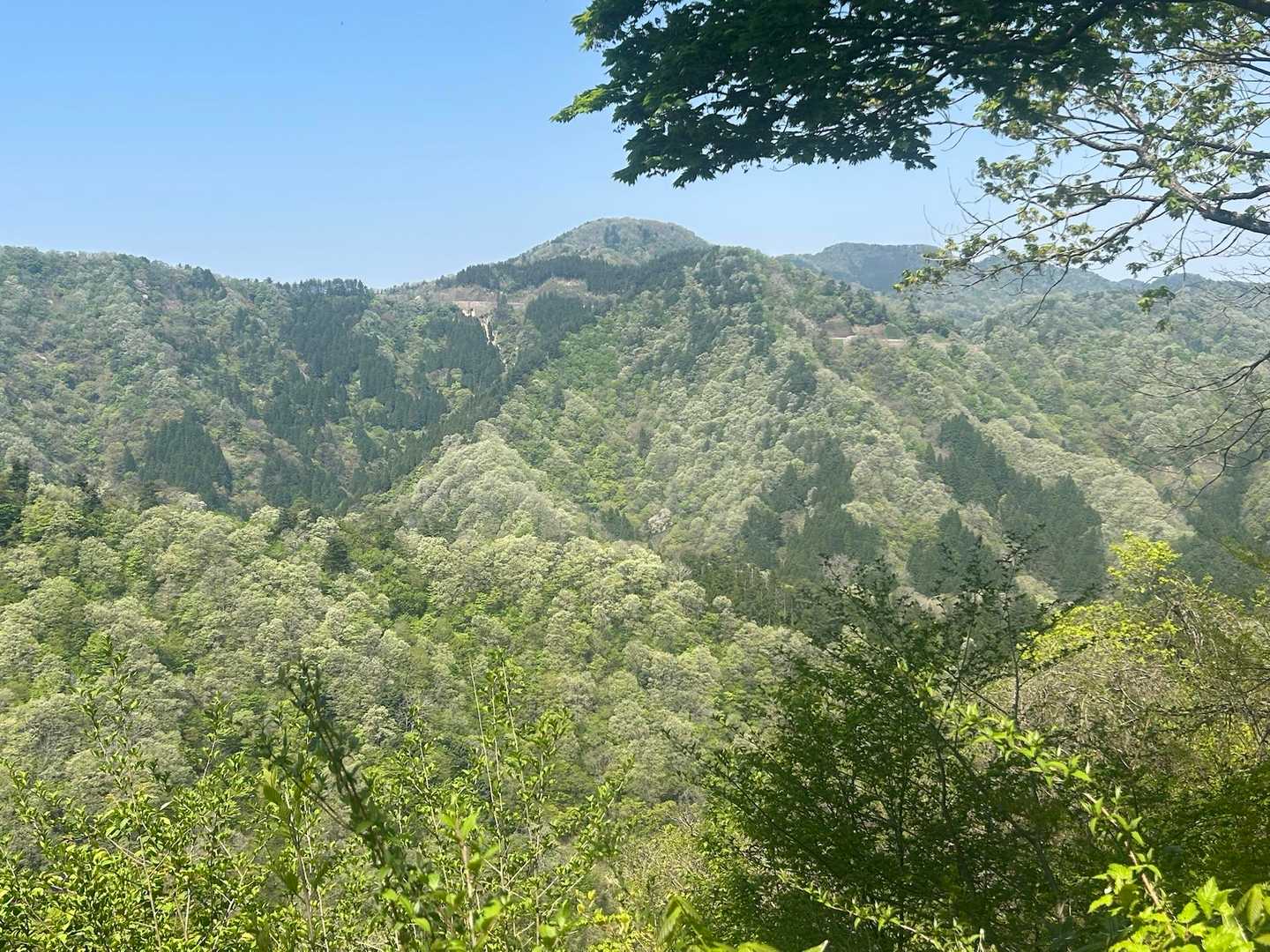 大杉みどりの里バス停-城山-大鶴山-中谷山 周回コースの写真