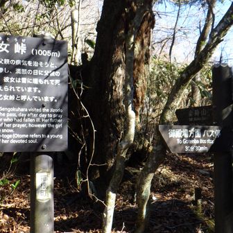 こんな悲しい謂れがあったんだなぁ