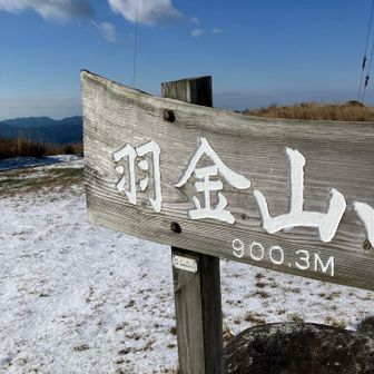 向こうに海が見えている。