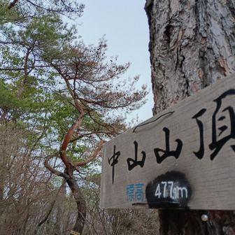 中山山頂✨
広くて休憩されてる方も
チラホラ。